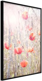 Αφίσα - Poppies - 40x60 - Μαύρο - Χωρίς πασπαρτού