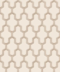 Ταπετσαρία τοίχου Wall Fabric Geometric Beige-Silver WF121022 53Χ1005