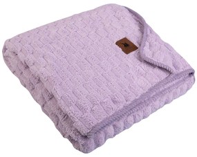 ΒΡΕΦΙΚΗ ΚΟΥΒΕΡΤΑ ΛΙΚΝΟΥ 80x110cm GREENWICH POLO CLUB - FLEECE 8835