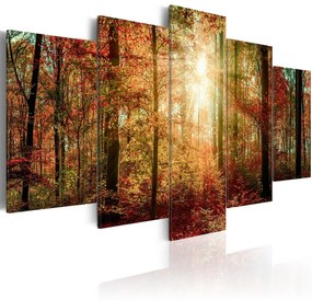 Πίνακας - Autumn Wilderness 100x50