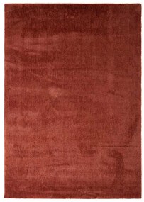 Μοκέτα (160x230) Royal Carpet Feel 71351/013