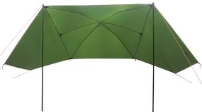 vidaXL Αυτοκινηταγιενν Πράσινο 308 x 215 x 220 εκ