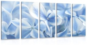 Εικόνα 5 τμημάτων μπλε και λευκά λουλούδια ορτανσίας