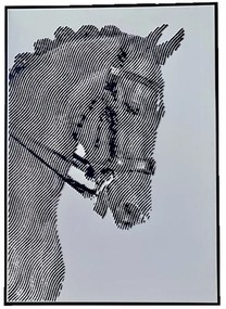ART ET LUMIERE ΠΙΝΑΚΑΣ ΣΕ ΚΑΜΒΑ 90120