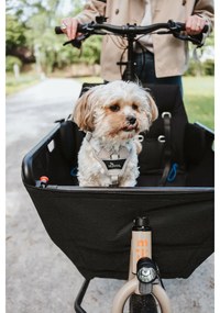 Λουρί Σκύλου Hunter DIVO UP Μπεζ L