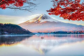 Φωτογραφία Fuji Mountain , Red Maple Tree, DoctorEgg