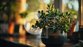 Intra Συλλεκτικό Ξύλινο Παζλ Plywood  4mm - Υγιές φυτό σε γλάστρα δίπλα στο παράθυρο Σε Ξύλινο Κουτί - Διαστάσεις Puzzle: 10x10 cm – 25 κομμάτια
