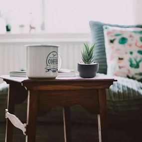 Τεχνητό Φυτό σε Μοντέρνο Μαύρο Κεραμικό Γλαστράκι 8x14cm