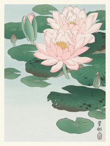 Εκτύπωση έργου τέχνης Water Lily / Lotus (Japandi Vintage) - Ohara Koson, (30 x 40 cm)