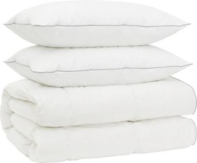 vidaXL Σετ πάπλωμα 90% χήνας FULDA 3 τμχ. 155 x 220 cm Όλες οι εποχές