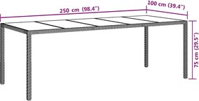 vidaXL Τραπέζι Κήπου Λευκό 250x100x75 εκ. Συνθετ. Ρατάν/Ψημένο Γυαλί