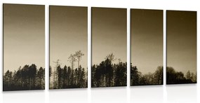 Εικόνα 5 μερών δάσος σέπια - 100x50