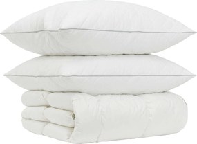 vidaXL Σετ πάπλωμα 90% χήνας FULDA 3 τμχ. 220 x 240 cm Χειμώνας Λευκό