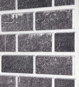 vidaXL Πάνελ τοίχου 10 pcs Μαύρο και Γκρι 100 x 50 cm Αφρός EPS