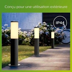 Φωτιστικό Philips Luminarias de exterior Ανθρακί E27 230 V 2700 K
