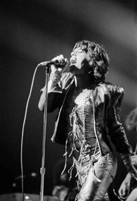 Φωτογραφία Τέχνης Rolling Stones, 1973, (26.7 x 40 cm)