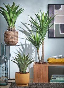 Τεχνητό Φυτό Σε Γλάστρα 60εκ. Edelman Agave 1026435