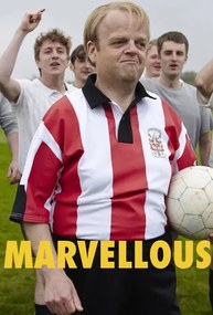Εικονογράφηση Marvellous (2014)