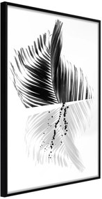 Αφίσα - Abstract Feather - 40x60 - Μαύρο - Χωρίς πασπαρτού