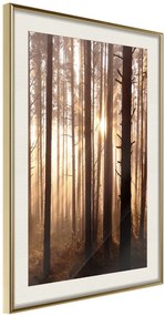 Αφίσα - Morning in the Forest - 20x30 - Χρυσό - Με πασπαρτού