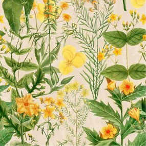 Ταπετσαρία Mimulus WP20323 Green-Yellow-Taupe MindTheGap 52x300cm