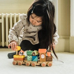 Ξύλινο Παιχνίδι Τρεχαλίτσα Orange Tree Toys Train  60-08098