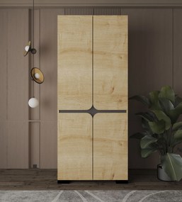 Ντουλάπα Sapphire Δρυς DREIN 90x52x210