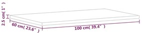vidaXL Πάγκος Μπάνιου 100x60x2,5 εκ. από Μασίφ Ξύλο Οξιάς