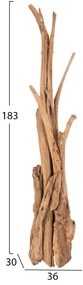 ΚΑΛΟΓΕΡΟΣ  ΑΠΟ ΜΑΣΙΦ ΞΥΛΟ TEAK ΦΥΣΙΚΟ 170-200ΕΚ.