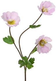 Beauty Home ΠΑΠΑΡΟΥΝΑ ΛΕΥΚΗ ΡΟΖ 71 cm