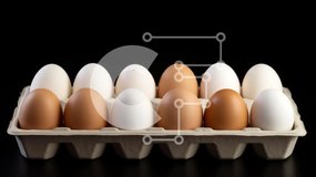 Σετ των 2 Intra Συλλεκτικό Ξύλινο Παζλ Plywood 4mm - Κουτί αυγών με λευκά και καφέ αυγά Σε Ξύλινο Κουτί - Διαστάσεις: 10x10 cm – 25 κομμάτια