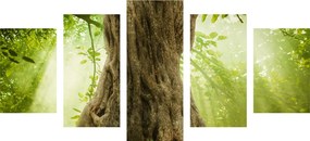 Κορμός δέντρου με εικόνα 5 τμημάτων - 100x50