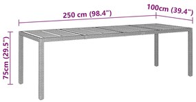 ΤΡΑΠΕΖΙ ΚΗΠΟΥ ΓΚΡΙ 250X100X75 ΕΚ. ΣΥΝΘΕΤΙΚΟ ΡΑΤΑΝ/ΜΑΣΙΦ ΑΚΑΚΙΑ 310597