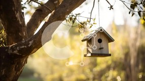 Intra Συλλεκτικό Ξύλινο Παζλ Plywood  4mm - Ξύλινο Birdhouse που κρέμεται από ένα κλαδί δέντρου Σε Ξύλινο Κουτί - Διαστάσεις: 10x10 cm – 25 κομμάτια