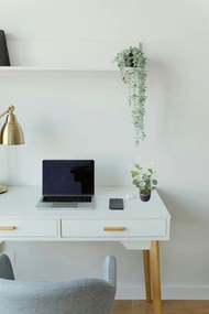 Stewehome Μποέμ στυλ τεχνητό ευκάλυπτο σε τσιμεντένια γλάστρα