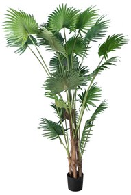 GloboStar® Artificial Garden PALM TREE 20014 Τεχνητό Διακοσμητικό Φυτό Φοινικόδεντρο Βεντάλια Υ210cm