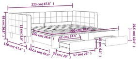 Καναπές Κρεβάτι Συρόμενος Ροζ 100x200 εκ. Βελούδινος Συρτάρια - Ροζ