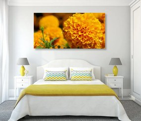 Εικόνα κατιφέ Αζτέκων σε κίτρινο χρώμα - 120x60