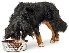 Ταΐστρα σκύλων Hunter Σιλικόνη Ανοξείδωτο ατσάλι 1,05 L