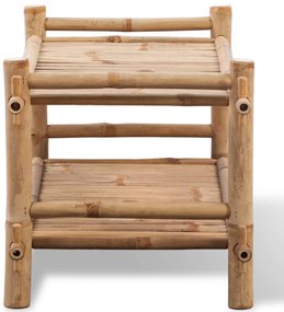 vidaXL Παπουτσοθήκη με 2 Ράφια από Μπαμπού