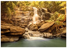 Φωτοταπετσαρία - Sunny Waterfall 150x105