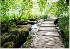 Αυτοκόλλητη φωτοταπετσαρία - Forest path - 196x140