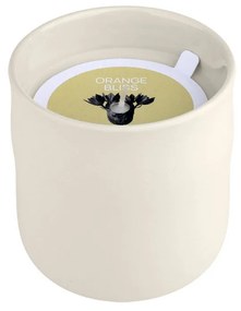 Κερί Αρωματικό 289gr Estia Orange Bliss 04-36492