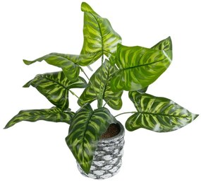Τεχνητό Φυτό Peacock 20888 Φ38x33cm Grey-Green GloboStar Πολυαιθυλένιο,Ύφασμα