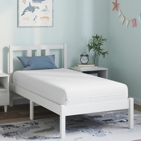 vidaXL Στρώματα Λευκό 80 x 160 cm 100% ύφασμα πολυεστέρα