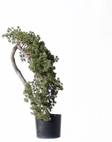 Supergreens Τεχνητό Μπονσάι Πεύκο 65 εκ. - 5090-6 - 5090-6
