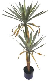 MarHome ΔΕΝΤΡΟ ΓΙΟΥΚΑ ΠΑΝΑΣΕ ΔΙΠΛΟ ΣΕ ΓΛΑΣΤΡΑ - Υ122cm 2/ΚΙΒ  04-18796