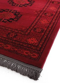 Κλασικό χαλί Afgan 6871H D.RED Royal Carpet - 160 x 160 cm - 11AFG6871H77.160160