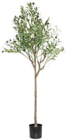 New plan OLIVE TREE NP1384_150 ΥΨΟΣ 150cm Τεμαχιο