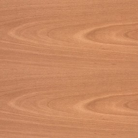 Δάπεδο Laminate TRD Elite-496 9mm Carolina Beech 400X